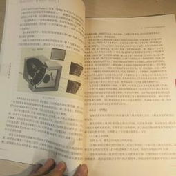 電腦圖文設計 數字時代的視覺溝通藝術
